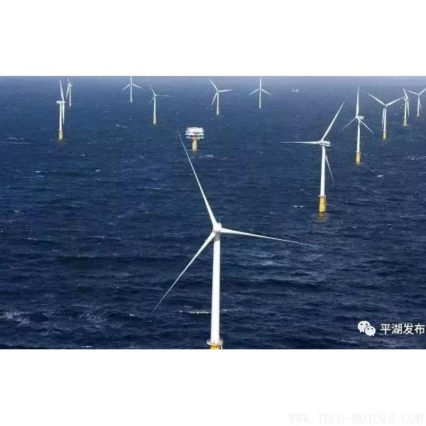 【電廠】嘉興規(guī)模最大的海上風電項目將在平湖動工建設 - TECO東元電機 | 變頻器·伺服電機·減速機·電機解決方案