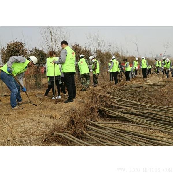 【造紙】建環(huán)保工廠 創(chuàng)森林城市 行業(yè)資訊 第2張 【造紙】建環(huán)保工廠 創(chuàng)森林城市 - TECO東元電機 | 變頻器·伺服電機·減速機·電機解決方案