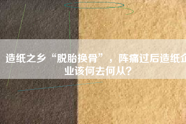 造紙之鄉(xiāng)“脫胎換骨”，陣痛過后造紙企業(yè)該何去何從？