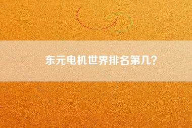 東元電機(jī)世界排名第幾？