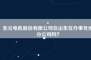 東元電機(jī)股份有限公司在山東在辦事處或分公司嗎？