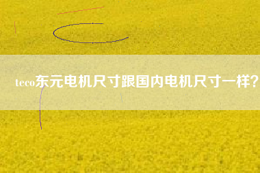 teco東元電機尺寸跟國內(nèi)電機尺寸一樣？