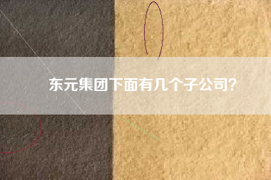 東元集團下面有幾個子公司？