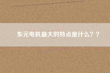東元電機(jī)最大的特點(diǎn)是什么？？