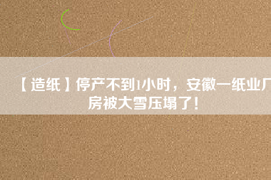 【造紙】停產(chǎn)不到1小時(shí)，安徽一紙業(yè)廠房被大雪壓塌了！