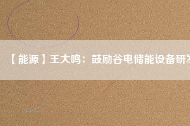 【能源】王大鳴：鼓勵(lì)谷電儲能設(shè)備研發(fā)