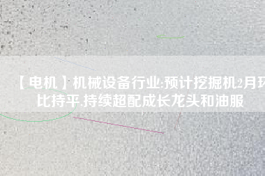 【電機(jī)】機(jī)械設(shè)備行業(yè):預(yù)計(jì)挖掘機(jī)2月環(huán)比持平,持續(xù)超配成長(zhǎng)龍頭和油服 - TECO東元電機(jī) | 變頻器·伺服電機(jī)·減速機(jī)·電機(jī)解決方案
