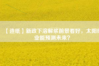 【造紙】新政下溶解漿前景看好，太陽紙業(yè)能預測未來？