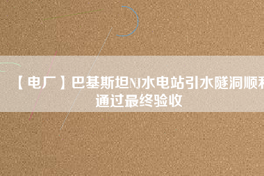 【電廠】巴基斯坦NJ水電站引水隧洞順利通過(guò)最終驗(yàn)收