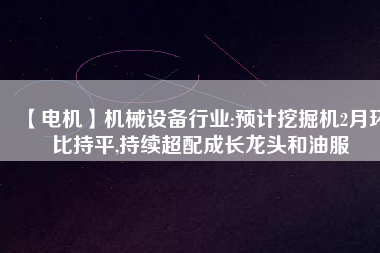 【電機(jī)】機(jī)械設(shè)備行業(yè):預(yù)計(jì)挖掘機(jī)2月環(huán)比持平,持續(xù)超配成長(zhǎng)龍頭和油服 - TECO東元電機(jī) | 變頻器·伺服電機(jī)·減速機(jī)·電機(jī)解決方案