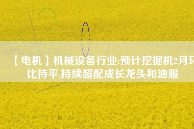 【電機(jī)】機(jī)械設(shè)備行業(yè):預(yù)計(jì)挖掘機(jī)2月環(huán)比持平,持續(xù)超配成長(zhǎng)龍頭和油服 - TECO東元電機(jī) | 變頻器·伺服電機(jī)·減速機(jī)·電機(jī)解決方案