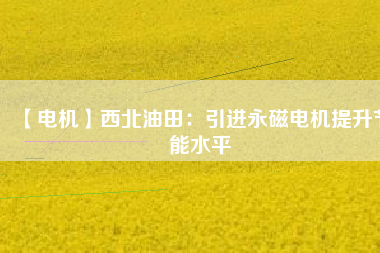 【電機】西北油田:引進(jìn)永磁電機提升節(jié)能水平 - TECO東元電機 | 變頻器·伺服電機·減速機·電機解決方案