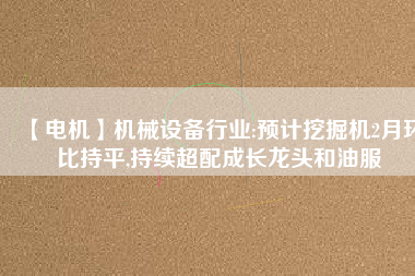 【電機(jī)】機(jī)械設(shè)備行業(yè):預(yù)計(jì)挖掘機(jī)2月環(huán)比持平,持續(xù)超配成長(zhǎng)龍頭和油服 - TECO東元電機(jī) | 變頻器·伺服電機(jī)·減速機(jī)·電機(jī)解決方案