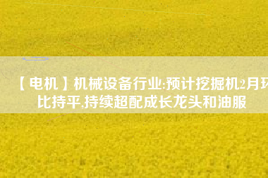 【電機(jī)】機(jī)械設(shè)備行業(yè):預(yù)計(jì)挖掘機(jī)2月環(huán)比持平,持續(xù)超配成長(zhǎng)龍頭和油服 - TECO東元電機(jī) | 變頻器·伺服電機(jī)·減速機(jī)·電機(jī)解決方案