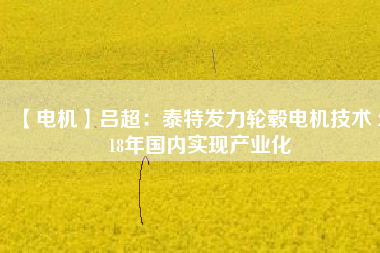 【電機】呂超：泰特發(fā)力輪轂電機技術(shù) 2018年國內(nèi)實現(xiàn)產(chǎn)業(yè)化 - TECO東元電機 | 變頻器·伺服電機·減速機·電機解決方案