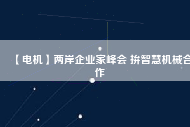 【電機】兩岸企業(yè)家峰會 拚智慧機械合作 - TECO東元電機 | 變頻器·伺服電機·減速機·電機解決方案