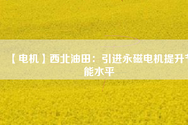 【電機】西北油田:引進(jìn)永磁電機提升節(jié)能水平 - TECO東元電機 | 變頻器·伺服電機·減速機·電機解決方案