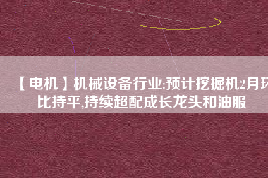 【電機(jī)】機(jī)械設(shè)備行業(yè):預(yù)計(jì)挖掘機(jī)2月環(huán)比持平,持續(xù)超配成長(zhǎng)龍頭和油服 - TECO東元電機(jī) | 變頻器·伺服電機(jī)·減速機(jī)·電機(jī)解決方案