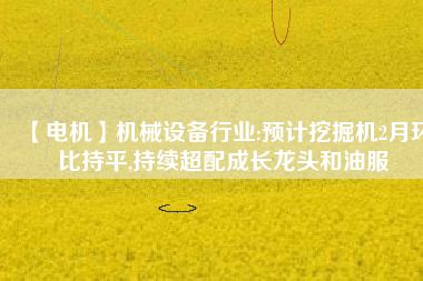 【電機(jī)】機(jī)械設(shè)備行業(yè):預(yù)計(jì)挖掘機(jī)2月環(huán)比持平,持續(xù)超配成長(zhǎng)龍頭和油服 - TECO東元電機(jī) | 變頻器·伺服電機(jī)·減速機(jī)·電機(jī)解決方案