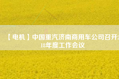 【電機(jī)】中國重汽濟(jì)南商用車公司召開2018年度工作會(huì)議 - TECO東元電機(jī) | 變頻器·伺服電機(jī)·減速機(jī)·電機(jī)解決方案