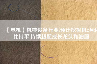 【電機(jī)】機(jī)械設(shè)備行業(yè):預(yù)計(jì)挖掘機(jī)2月環(huán)比持平,持續(xù)超配成長(zhǎng)龍頭和油服 - TECO東元電機(jī) | 變頻器·伺服電機(jī)·減速機(jī)·電機(jī)解決方案