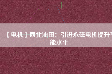 【電機】西北油田:引進(jìn)永磁電機提升節(jié)能水平 - TECO東元電機 | 變頻器·伺服電機·減速機·電機解決方案