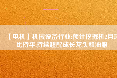 【電機(jī)】機(jī)械設(shè)備行業(yè):預(yù)計(jì)挖掘機(jī)2月環(huán)比持平,持續(xù)超配成長(zhǎng)龍頭和油服 - TECO東元電機(jī) | 變頻器·伺服電機(jī)·減速機(jī)·電機(jī)解決方案