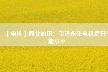 【電機】西北油田:引進(jìn)永磁電機提升節(jié)能水平 - TECO東元電機 | 變頻器·伺服電機·減速機·電機解決方案