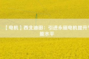 【電機】西北油田:引進(jìn)永磁電機提升節(jié)能水平 - TECO東元電機 | 變頻器·伺服電機·減速機·電機解決方案