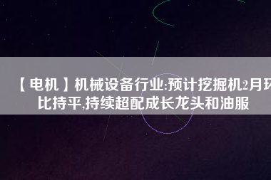 【電機(jī)】機(jī)械設(shè)備行業(yè):預(yù)計(jì)挖掘機(jī)2月環(huán)比持平,持續(xù)超配成長(zhǎng)龍頭和油服 - TECO東元電機(jī) | 變頻器·伺服電機(jī)·減速機(jī)·電機(jī)解決方案