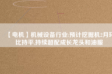 【電機(jī)】機(jī)械設(shè)備行業(yè):預(yù)計(jì)挖掘機(jī)2月環(huán)比持平,持續(xù)超配成長(zhǎng)龍頭和油服 - TECO東元電機(jī) | 變頻器·伺服電機(jī)·減速機(jī)·電機(jī)解決方案