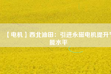 【電機】西北油田:引進(jìn)永磁電機提升節(jié)能水平 - TECO東元電機 | 變頻器·伺服電機·減速機·電機解決方案