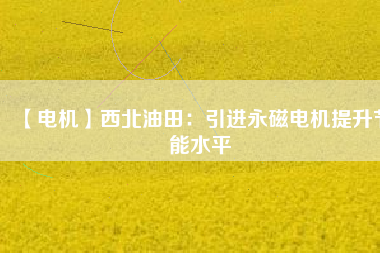 【電機】西北油田:引進(jìn)永磁電機提升節(jié)能水平 - TECO東元電機 | 變頻器·伺服電機·減速機·電機解決方案