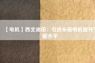 【電機】西北油田:引進(jìn)永磁電機提升節(jié)能水平 - TECO東元電機 | 變頻器·伺服電機·減速機·電機解決方案