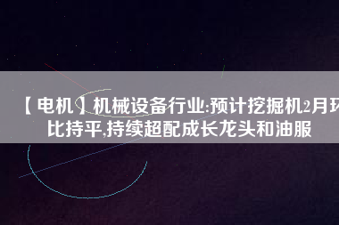 【電機(jī)】機(jī)械設(shè)備行業(yè):預(yù)計(jì)挖掘機(jī)2月環(huán)比持平,持續(xù)超配成長(zhǎng)龍頭和油服 - TECO東元電機(jī) | 變頻器·伺服電機(jī)·減速機(jī)·電機(jī)解決方案