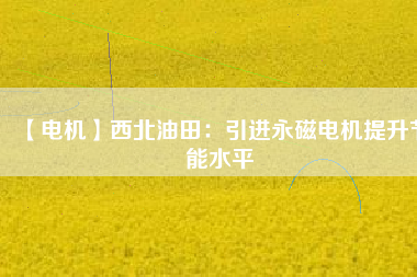 【電機】西北油田:引進(jìn)永磁電機提升節(jié)能水平 - TECO東元電機 | 變頻器·伺服電機·減速機·電機解決方案