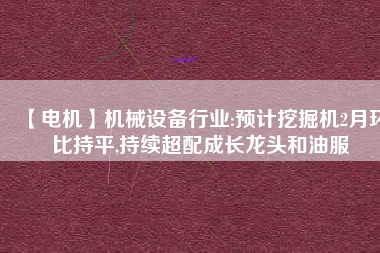 【電機(jī)】機(jī)械設(shè)備行業(yè):預(yù)計(jì)挖掘機(jī)2月環(huán)比持平,持續(xù)超配成長(zhǎng)龍頭和油服 - TECO東元電機(jī) | 變頻器·伺服電機(jī)·減速機(jī)·電機(jī)解決方案