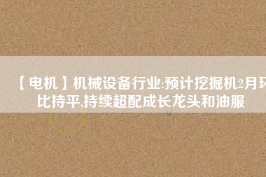【電機(jī)】機(jī)械設(shè)備行業(yè):預(yù)計(jì)挖掘機(jī)2月環(huán)比持平,持續(xù)超配成長(zhǎng)龍頭和油服 - TECO東元電機(jī) | 變頻器·伺服電機(jī)·減速機(jī)·電機(jī)解決方案