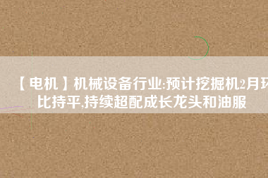 【電機(jī)】機(jī)械設(shè)備行業(yè):預(yù)計(jì)挖掘機(jī)2月環(huán)比持平,持續(xù)超配成長(zhǎng)龍頭和油服 - TECO東元電機(jī) | 變頻器·伺服電機(jī)·減速機(jī)·電機(jī)解決方案