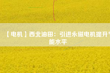 【電機】西北油田:引進(jìn)永磁電機提升節(jié)能水平 - TECO東元電機 | 變頻器·伺服電機·減速機·電機解決方案