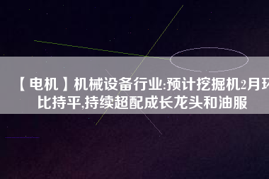 【電機(jī)】機(jī)械設(shè)備行業(yè):預(yù)計(jì)挖掘機(jī)2月環(huán)比持平,持續(xù)超配成長(zhǎng)龍頭和油服 - TECO東元電機(jī) | 變頻器·伺服電機(jī)·減速機(jī)·電機(jī)解決方案