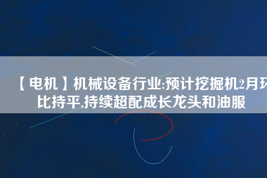 【電機(jī)】機(jī)械設(shè)備行業(yè):預(yù)計(jì)挖掘機(jī)2月環(huán)比持平,持續(xù)超配成長(zhǎng)龍頭和油服 - TECO東元電機(jī) | 變頻器·伺服電機(jī)·減速機(jī)·電機(jī)解決方案