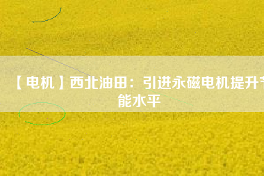 【電機】西北油田:引進(jìn)永磁電機提升節(jié)能水平 - TECO東元電機 | 變頻器·伺服電機·減速機·電機解決方案