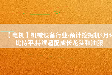 【電機(jī)】機(jī)械設(shè)備行業(yè):預(yù)計(jì)挖掘機(jī)2月環(huán)比持平,持續(xù)超配成長(zhǎng)龍頭和油服 - TECO東元電機(jī) | 變頻器·伺服電機(jī)·減速機(jī)·電機(jī)解決方案
