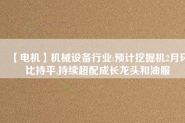 【電機(jī)】機(jī)械設(shè)備行業(yè):預(yù)計(jì)挖掘機(jī)2月環(huán)比持平,持續(xù)超配成長(zhǎng)龍頭和油服 - TECO東元電機(jī) | 變頻器·伺服電機(jī)·減速機(jī)·電機(jī)解決方案