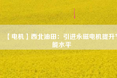 【電機】西北油田:引進(jìn)永磁電機提升節(jié)能水平 - TECO東元電機 | 變頻器·伺服電機·減速機·電機解決方案