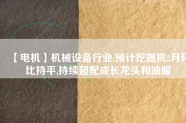【電機(jī)】機(jī)械設(shè)備行業(yè):預(yù)計(jì)挖掘機(jī)2月環(huán)比持平,持續(xù)超配成長(zhǎng)龍頭和油服 - TECO東元電機(jī) | 變頻器·伺服電機(jī)·減速機(jī)·電機(jī)解決方案