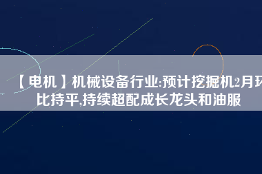 【電機(jī)】機(jī)械設(shè)備行業(yè):預(yù)計(jì)挖掘機(jī)2月環(huán)比持平,持續(xù)超配成長(zhǎng)龍頭和油服 - TECO東元電機(jī) | 變頻器·伺服電機(jī)·減速機(jī)·電機(jī)解決方案