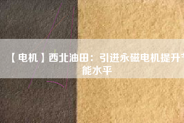 【電機】西北油田:引進(jìn)永磁電機提升節(jié)能水平 - TECO東元電機 | 變頻器·伺服電機·減速機·電機解決方案