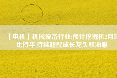 【電機(jī)】機(jī)械設(shè)備行業(yè):預(yù)計(jì)挖掘機(jī)2月環(huán)比持平,持續(xù)超配成長(zhǎng)龍頭和油服 - TECO東元電機(jī) | 變頻器·伺服電機(jī)·減速機(jī)·電機(jī)解決方案